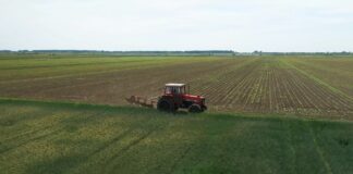 Šta je mera LEADER i zašto je važna za unapređenje ruralnog razvoja