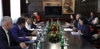 Gojković i Guanđun o saradnji AP Vojvodine i kineske provincije Guangdong