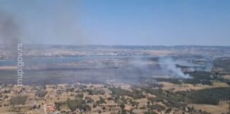 Požar u Kostolu: Više od 100 hektara zahvaćeno vatrom