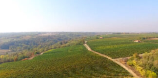 Kako klimatske promene utiču na kvalitet useva