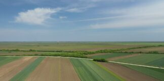 IZOPS – Prijavi vlasnika koji neće da ti da ugovor