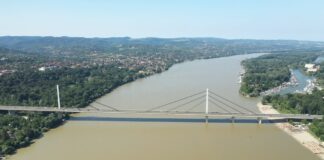 Dva miliona evra za spas jesetre u dunavskom slivu