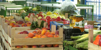 Cene voća i povrća na pijacama – Šljiva jeftinija, kajsije i do 500 din/kg