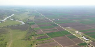 Institut za ratarstvo i povrtarstvo deo evropskog projekta RUNFASTER4EU