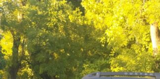 Zrenjaninski funkcioner službenim automobilom išao da preti građanima Bačkog Petrovca