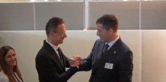 Đurić i Sijarto u Njujorku o jačanju veza Srbije i Mađarske