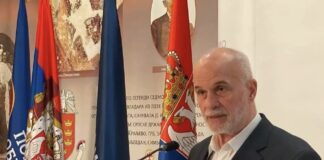 Vojislav Mihailović (POKS) – Građani u Novom Sadu bili meta brutalne sile