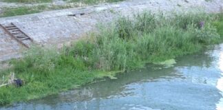 Koja će biti cena dozvola za ribolov u 2026. godini?