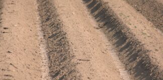 Evropski poljoprivrednici pod pritiskom – Suša, slabiji prinosi i klimatski izazovi