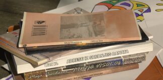 Maja Pandurov iduće godine obeležava 30 godina od objavljivanja prvog književnog dela