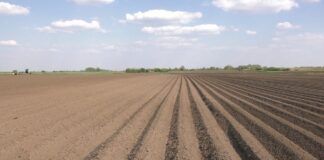 Poljoprivrednici najavljuju proteste na jesen