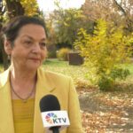 Gordana Čomić – Da sam na mestu opozicije tražila bih dijalog o situaciji sa NIS-om