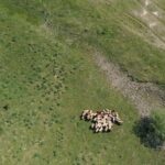 Novi pravilnik o savetodavnim poslovima u poljoprivredi stupa na snagu 1. januara