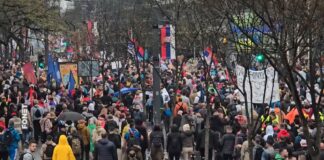 Akademski plenum – Počeo s radom sajt za prijavu fizičkog i pravnog nasilja nad građanima