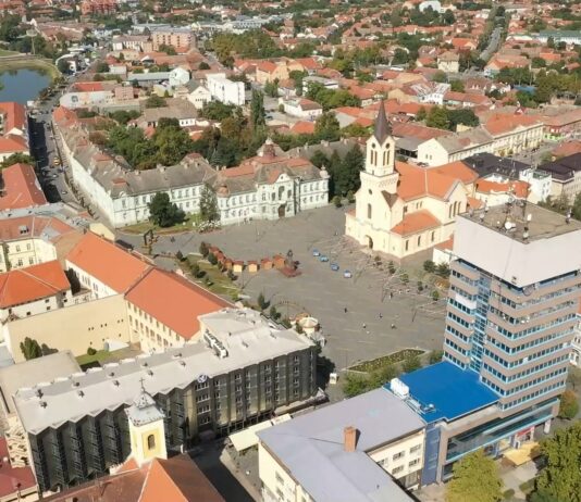 Krivične prijave protiv gradonačenika Zrenjanina i sanitarnog inspektora