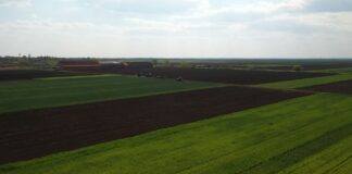 Zaposleni u Institutu za ratarstvo i povrtarstvo juče su organizovali jednodnevni štrajk