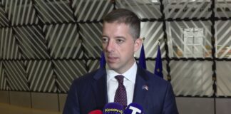 Đurić: Srbija zaslužuje ravnopravno mesto u EU