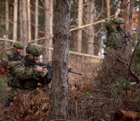 Služenje vojnog roka i zvanično u budžetu