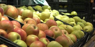 Ministarstvo poljoprivrede: Visok nivo bezbednosti hrane u Srbiji