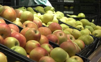 Ministarstvo poljoprivrede: Visok nivo bezbednosti hrane u Srbiji