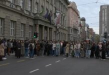 U Beogradu, Novom Sadu i Nišu 16 minuta tišine u znak sećanja na studentkinju Anju Radonjić