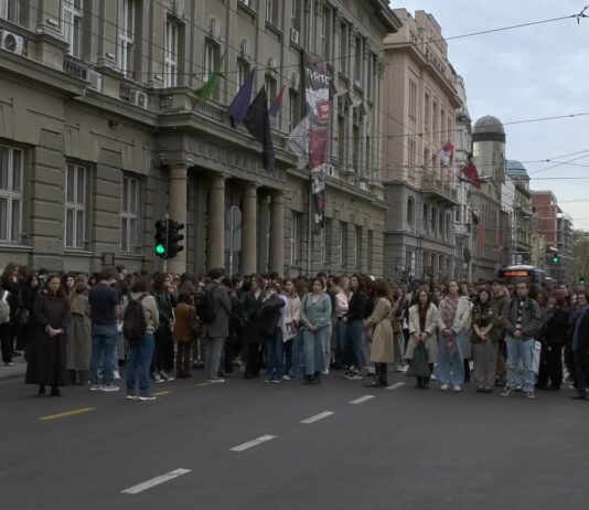 U Beogradu, Novom Sadu i Nišu 16 minuta tišine u znak sećanja na studentkinju Anju Radonjić