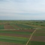 Glamočić: Više od polovine svih subvencija u državi usmereno u poljoprivredu