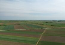 Glamočić: Više od polovine svih subvencija u državi usmereno u poljoprivredu