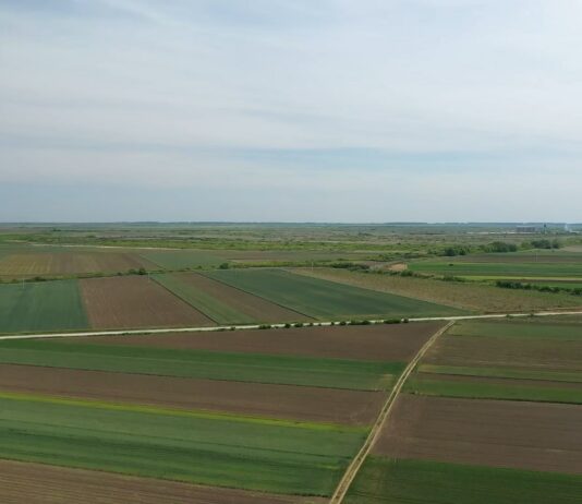 Glamočić: Više od polovine svih subvencija u državi usmereno u poljoprivredu