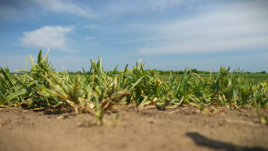 Ministarstvo poljoprivrede zdravlje bilja