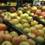 Jačanje sistema bezbednosti hrane i održive poljoprivrede