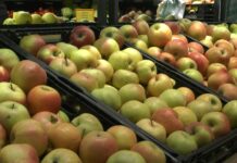 Jačanje sistema bezbednosti hrane i održive poljoprivrede