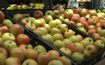 Jačanje sistema bezbednosti hrane i održive poljoprivrede