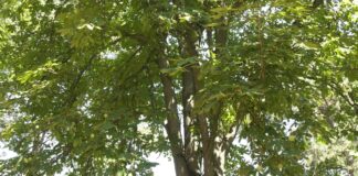 Konkurs za unapređenje lovstva i održivi razvoj za 2025. godinu