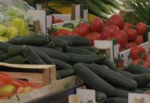 Voće i povrće više nisu isti – Klima menja njihov ukus i izgled