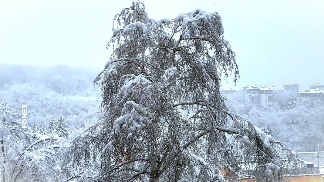 niske temperature i biljke