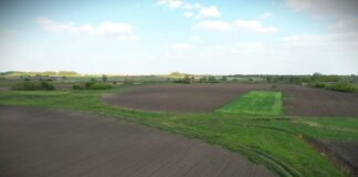 Zahtevi za podsticaje u primarnoj biljnoj proizvodnji do 31. decembra