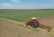 Otvoren IPARD poziv za podizanje i opremanje voćnjaka, traje do 31. decembra