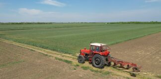 Otvoren IPARD poziv za podizanje i opremanje voćnjaka, traje do 31. decembra