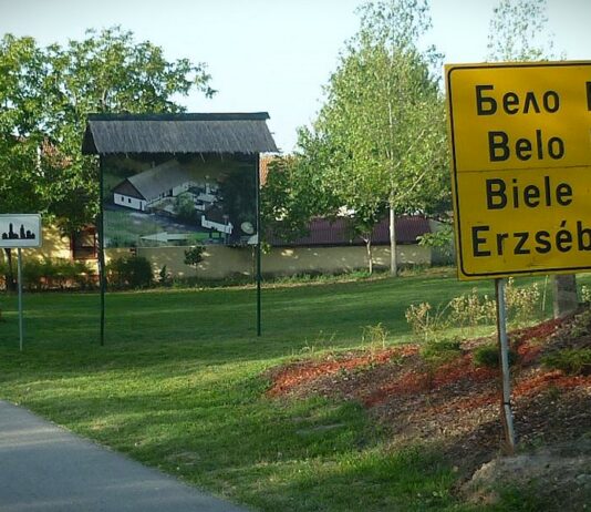 NEZVANIČNO: U Belom Blatu priveden odbornik SNS-a