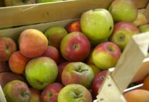 Cene voća i povrća: Šta je poskupelo, a šta pojeftinilo?