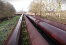 Lavrov: Pod određenim uslovima može doći do nacionalizacije NIS-a, uz saglasnost Rusije