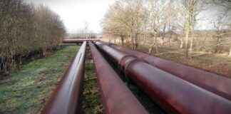 Lavrov: Pod određenim uslovima može doći do nacionalizacije NIS-a, uz saglasnost Rusije