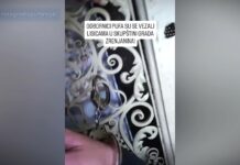 Odbornici PUF-a se vezali lisicama u Skupštini grada Zrenjanina!