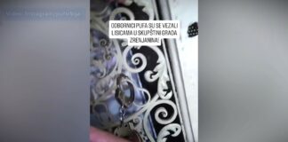 Odbornici PUF-a se vezali lisicama u Skupštini grada Zrenjanina!