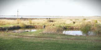 Šta koči razvoj srpskog ribarstva?