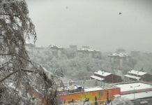 Počeo zimski raspust za đake u Vojvodini, ostali učenici odmaraju od 31. decembra