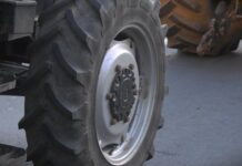 Blokiraćemo puteve, više nam ništa nije preostalo – uvoz cveta, domaće farme propadaju