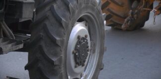 Blokiraćemo puteve, više nam ništa nije preostalo – uvoz cveta, domaće farme propadaju