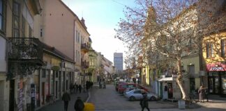 Formiran Savet za porodicu i demografiju